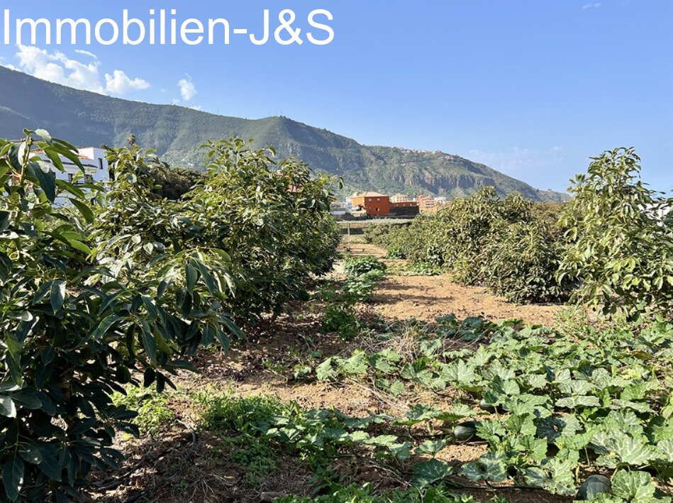 Gemütlicher Bungalow mit schönem Meerblick auf einem Grundstück von 7000 m²