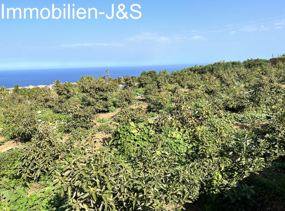 Gemütlicher Bungalow mit schönem Meerblick auf einem Grundstück von 7000 m²