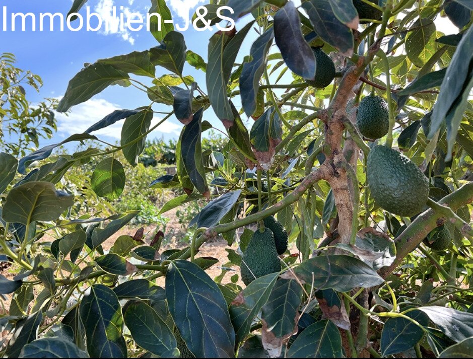 Gemütlicher Bungalow mit schönem Meerblick auf einem Grundstück von 7000 m²