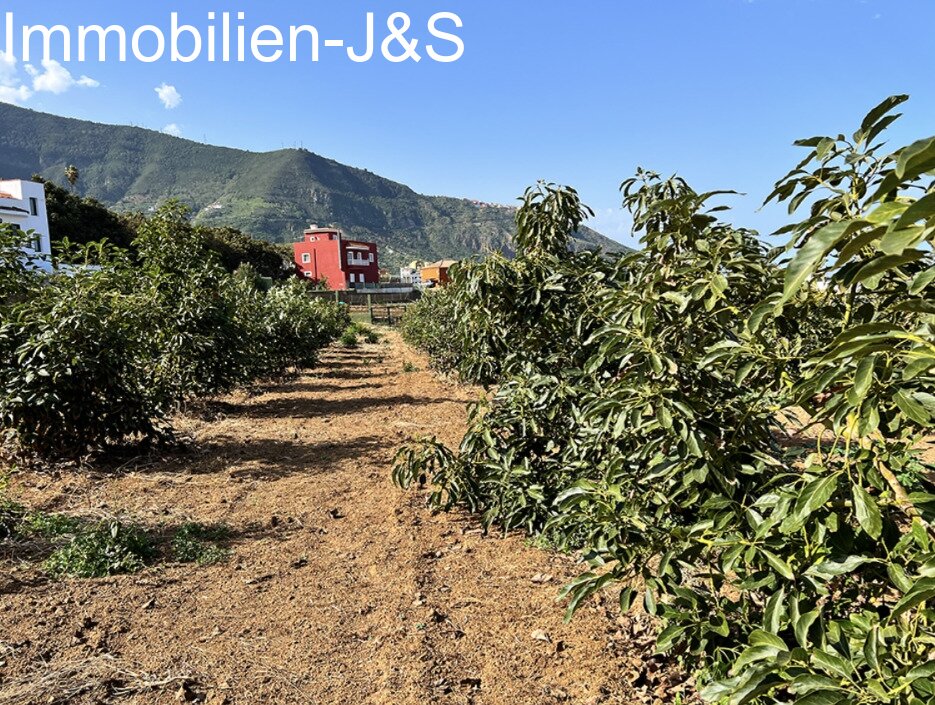 Gemütlicher Bungalow mit schönem Meerblick auf einem Grundstück von 7000 m²