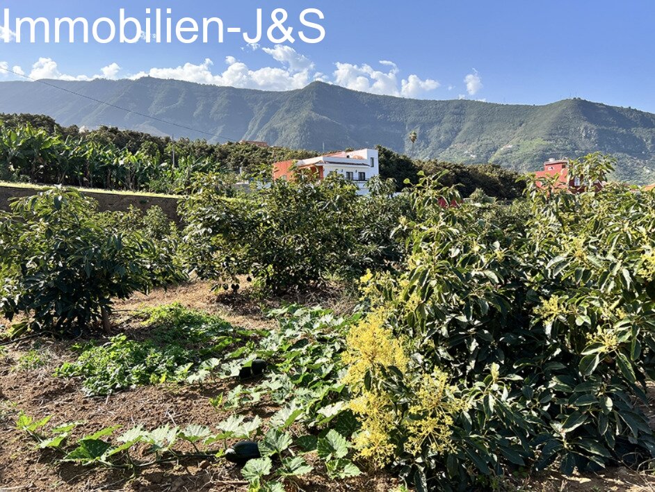Gemütlicher Bungalow mit schönem Meerblick auf einem Grundstück von 7000 m²