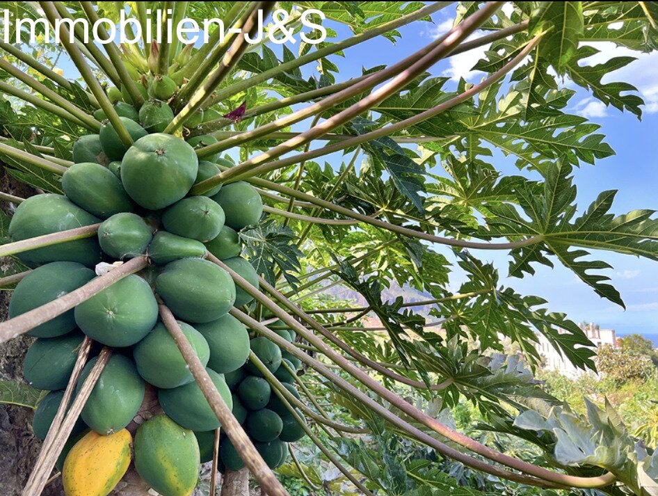 Gemütlicher Bungalow mit schönem Meerblick auf einem Grundstück von 7000 m²