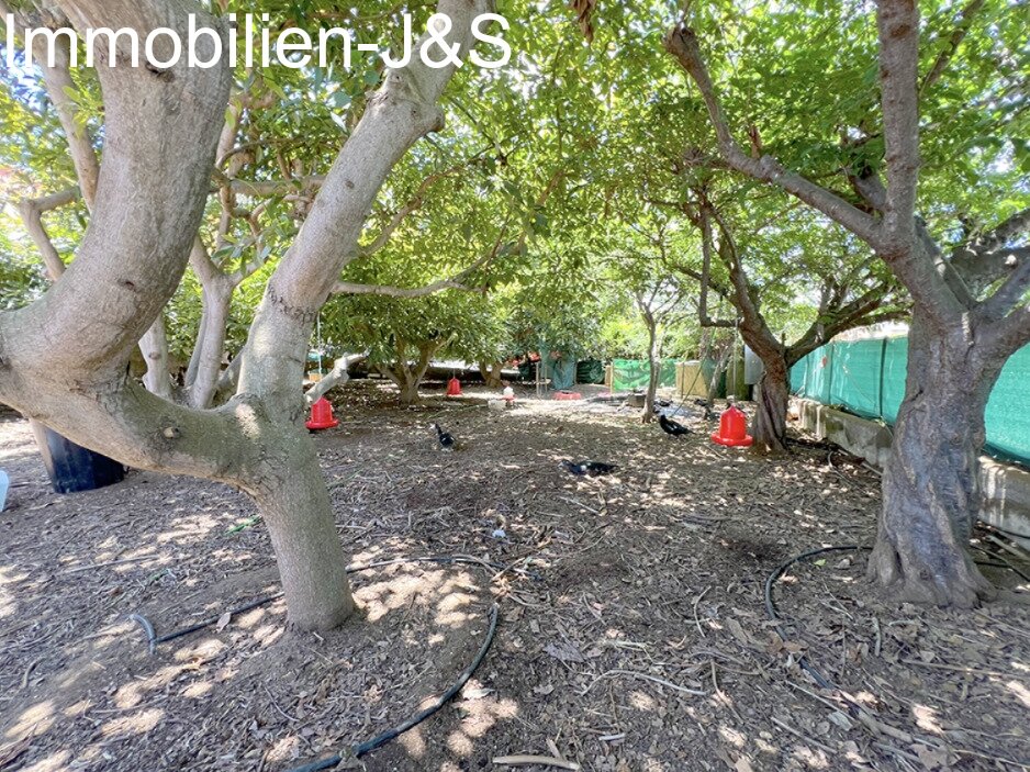 Prächtiges Einfamilienhaus mit großem Garten in Orotava