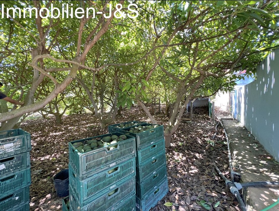 Prächtiges Einfamilienhaus mit großem Garten in Orotava