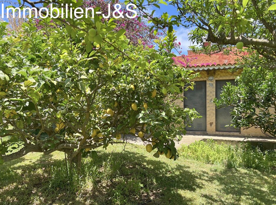 Prächtiges Einfamilienhaus mit großem Garten in Orotava