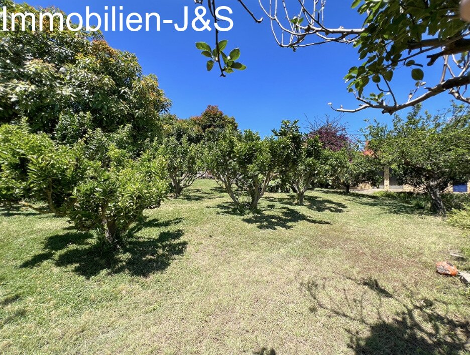 Magnificent detached house with large garden in Orotava