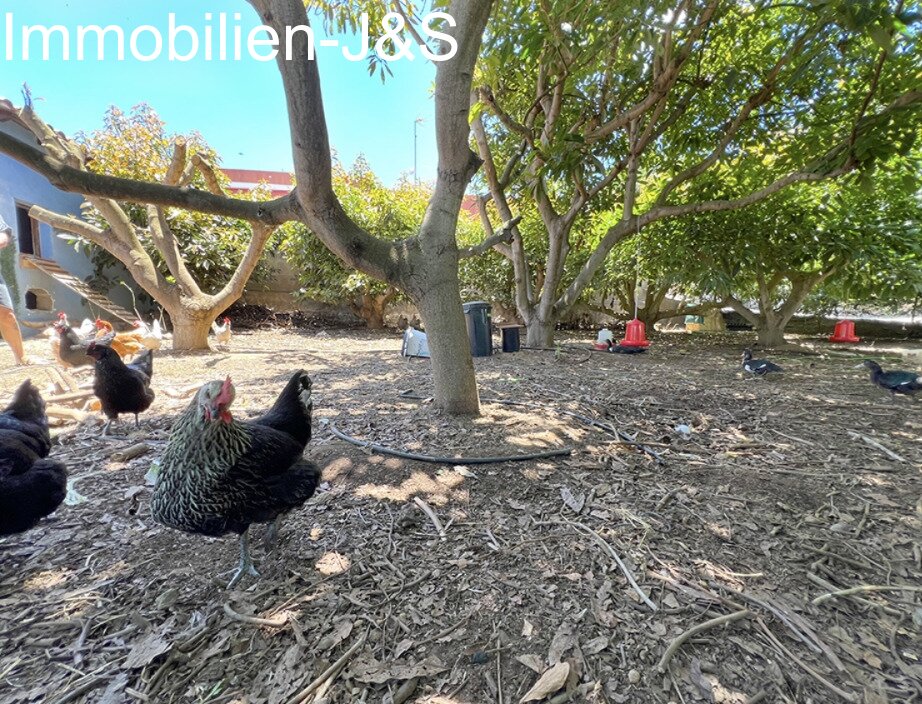 Magnificent detached house with large garden in Orotava