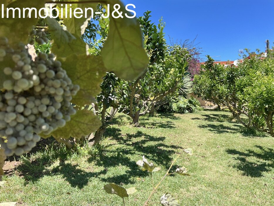 Magnificent detached house with large garden in Orotava