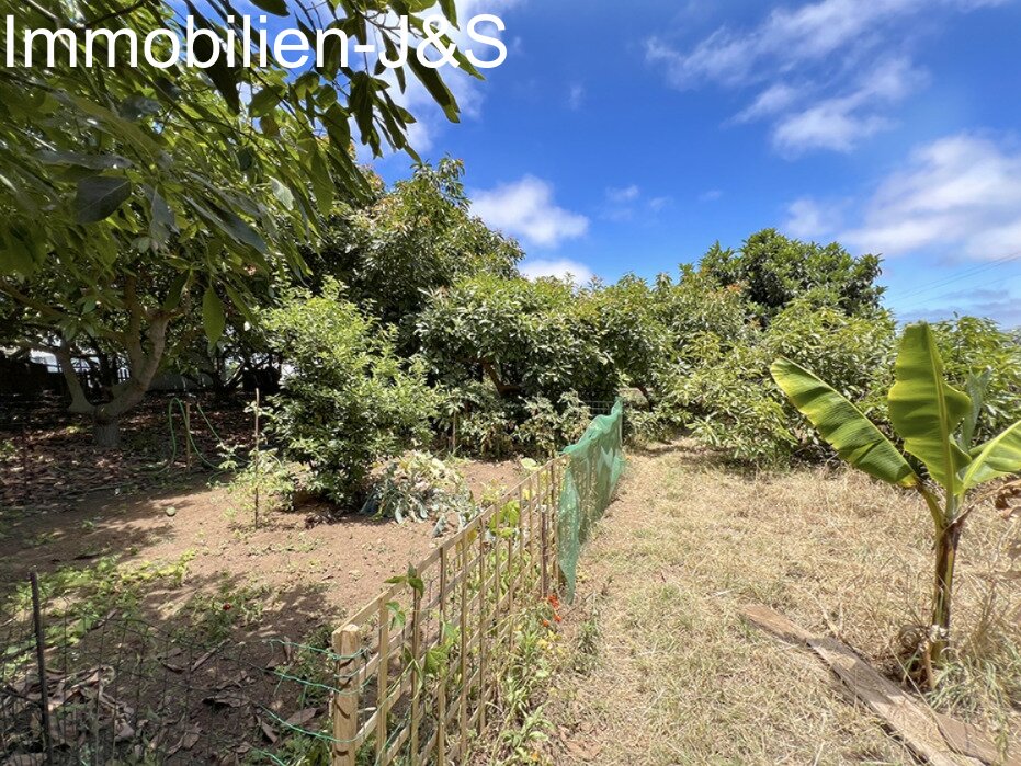 Magnificent detached house with large garden in Orotava