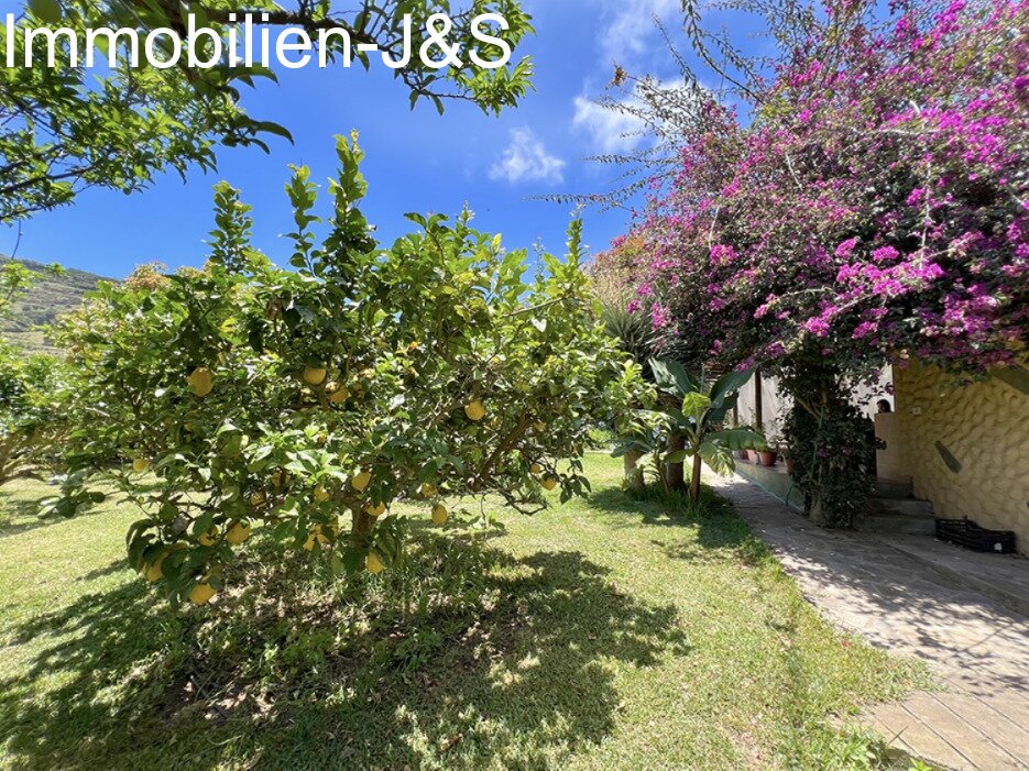 Magnificent detached house with large garden in Orotava