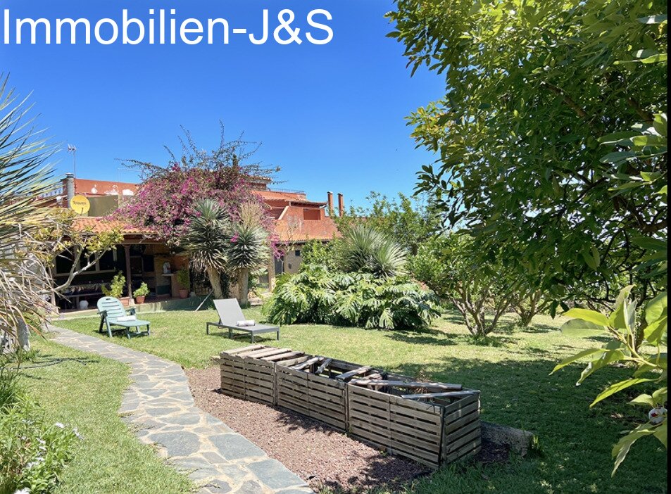 View of the house and garden