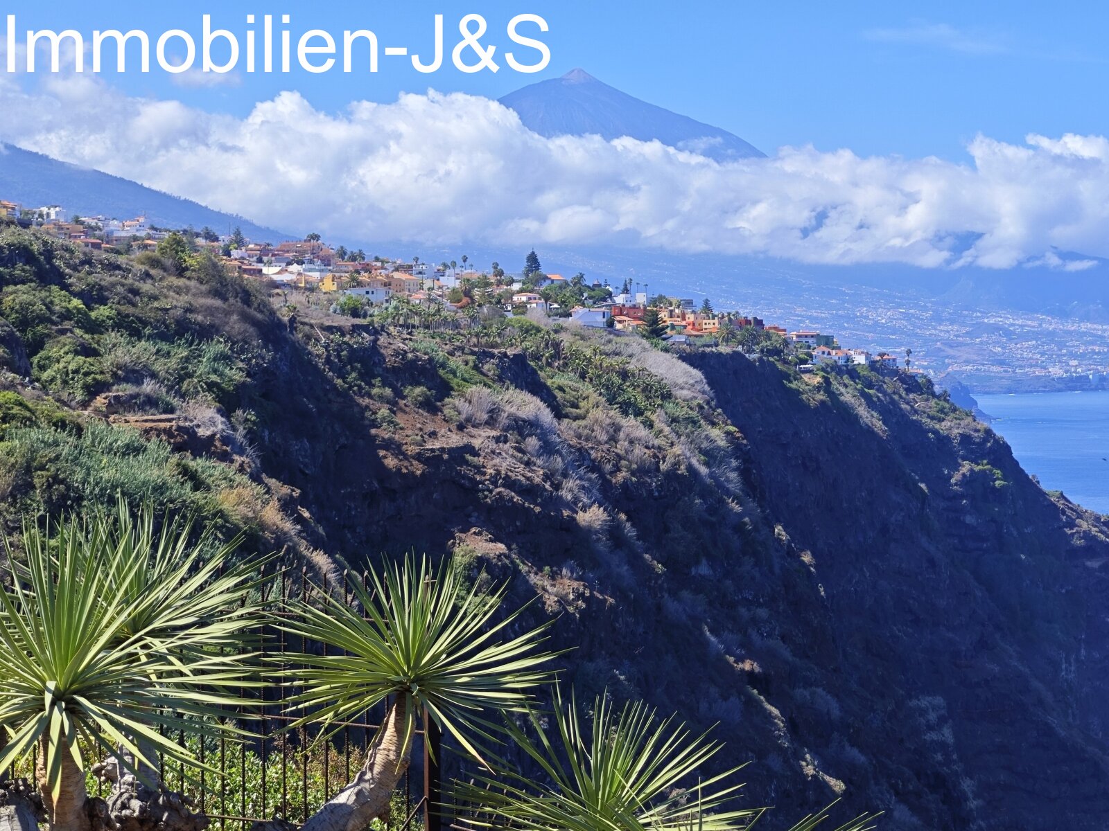 Teide view