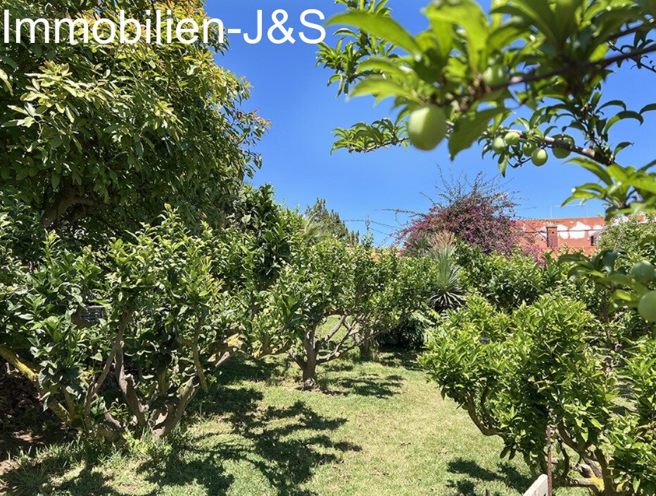 Jardín